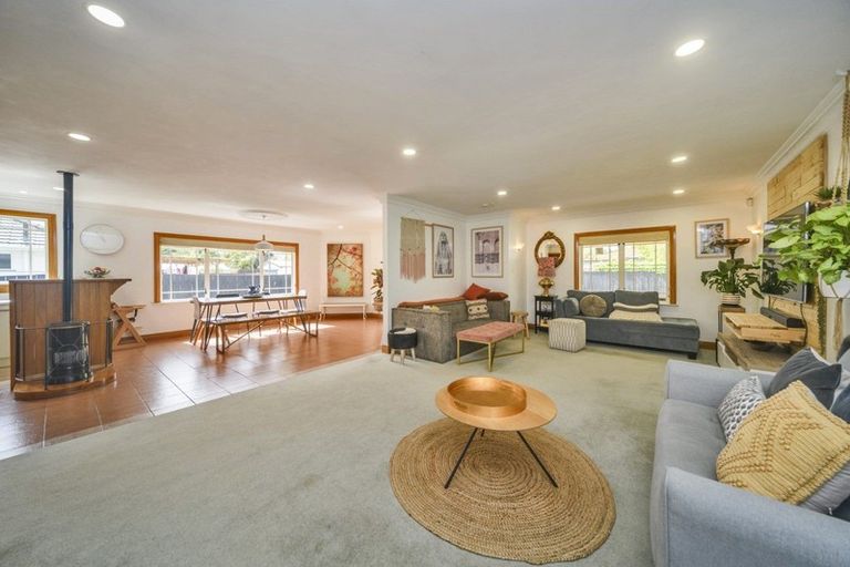 Photo of property in 57 Guy Avenue, Takaro, Palmerston North, 4410