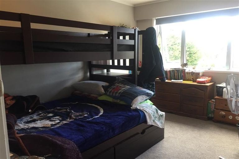 Photo of property in 87 One Tree Point Road, One Tree Point, 0118