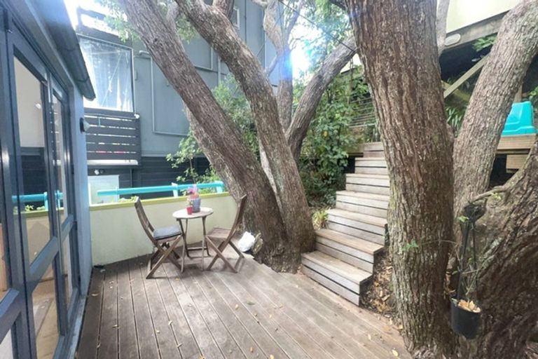 Photo of property in 19 Everton Terrace, Kelburn, Wellington, 6012