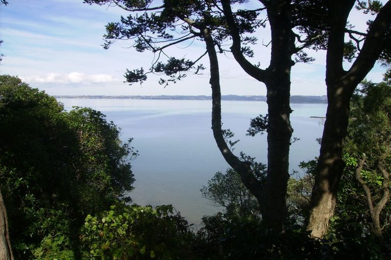 Photo of property in 53 Arapito Road, Titirangi, Auckland, 0604