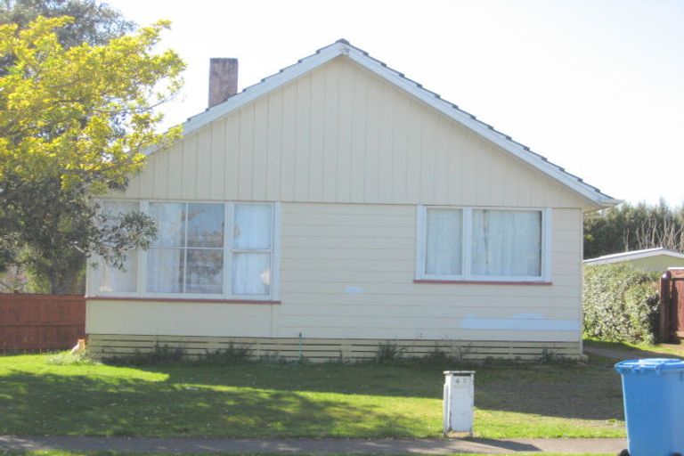 Photo of property in 43 Hinemoa Street, Levin, 5510