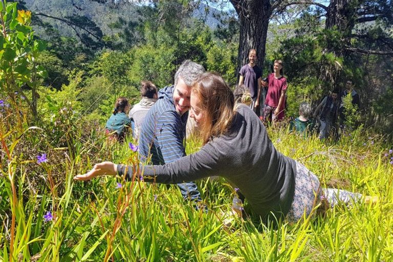 Photo of property in 13 Pohue Creek Road, Ruamahunga, Thames, 3575