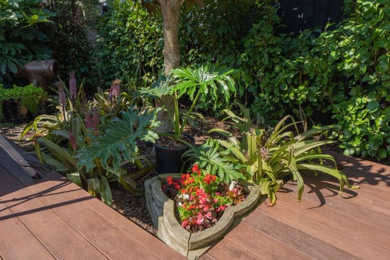 Photo of property in 8 Petrel Close, Paraparaumu Beach, Paraparaumu, 5032