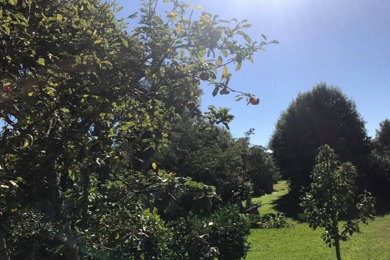 Photo of property in 4 Caterer Lane, Paraparaumu, 5032