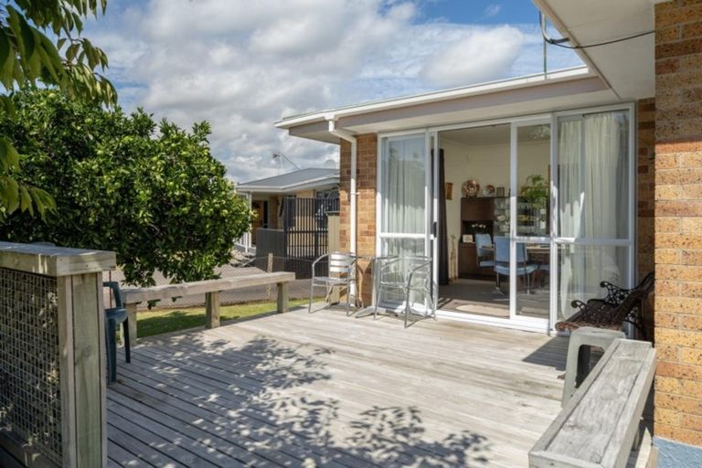 Photo of property in 16a Vine Avenue, Maungatapu, Tauranga, 3112