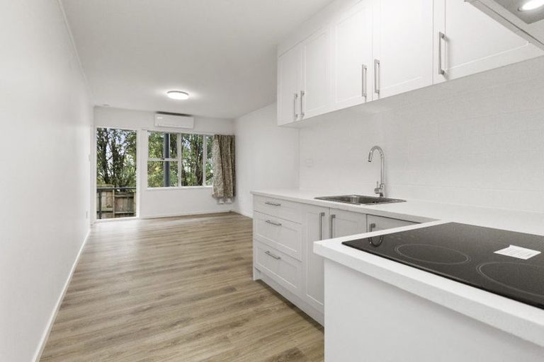 Photo of property in 8/825 New North Road, Mount Albert, Auckland, 1025