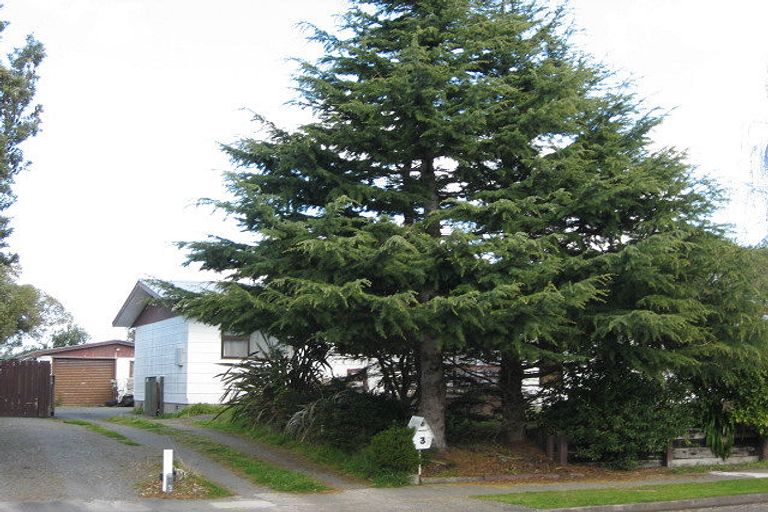 Photo of property in 3 Pain Street, Bulls, 4818