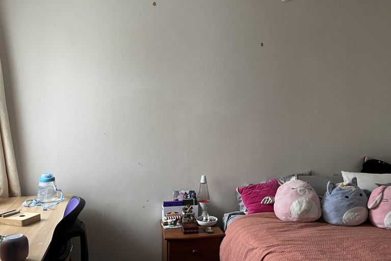 Photo of property in 6 Ayr Place, Hokowhitu, Palmerston North, 4410