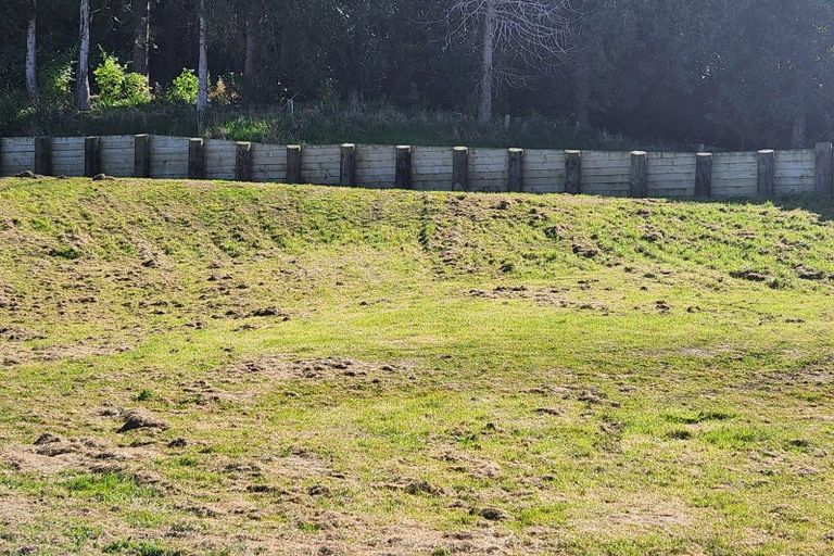 Photo of property in 90 Riverside Road, Whataupoko, 4010