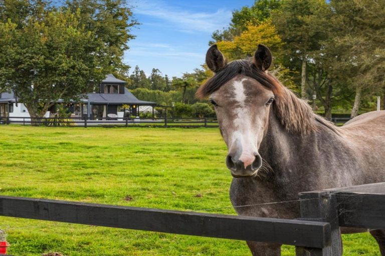 Photo of property in 1235 Omanawa Road, Omanawa, Tauranga, 3171