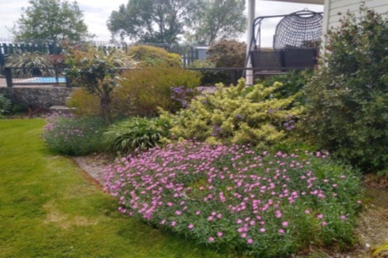 Photo of property in 29 Halcrow Road, Reporoa, 3081