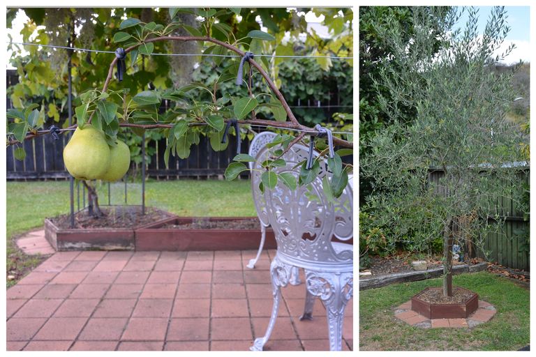 Photo of property in 11 Ballantrae, Kawerau, 3127