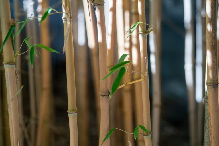 Photo of property in 55 Wharemauku Road, Raumati Beach, Paraparaumu, 5032