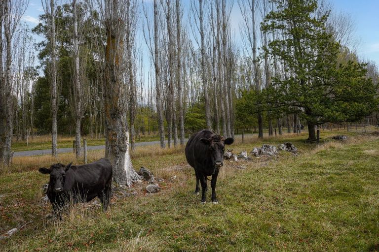 Photo of property in 4 Mandalea Road, Ohoka, Rangiora, 7475