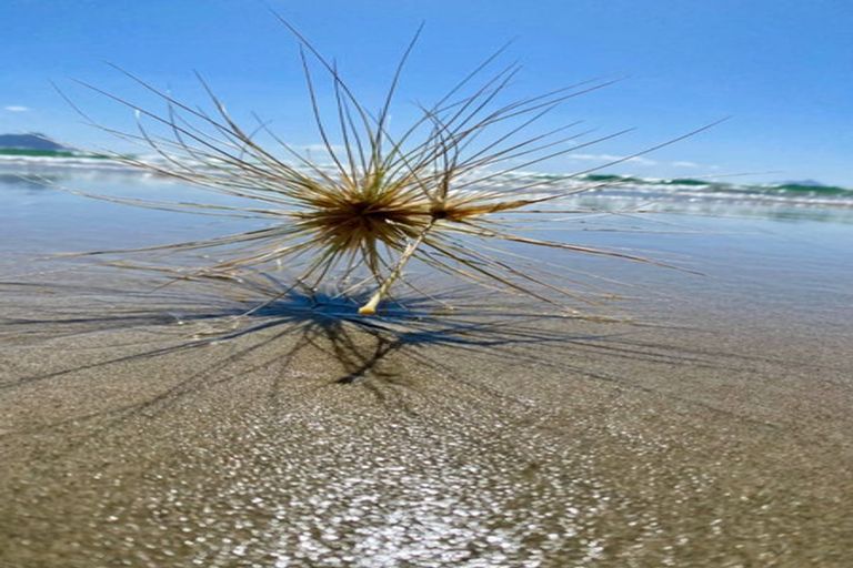 Photo of property in 29 Bream Bay Drive, Ruakaka, 0116