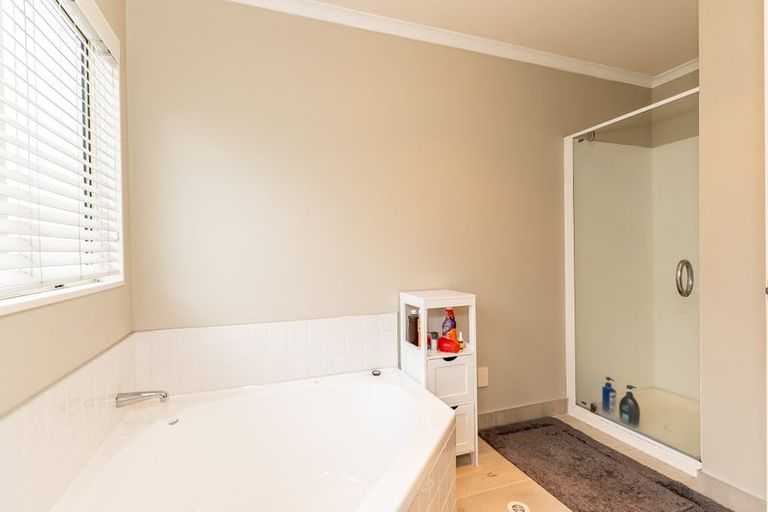 Photo of property in 10c Hammond Street, Hamilton Central, Hamilton, 3204