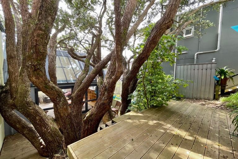 Photo of property in 19 Everton Terrace, Kelburn, Wellington, 6012