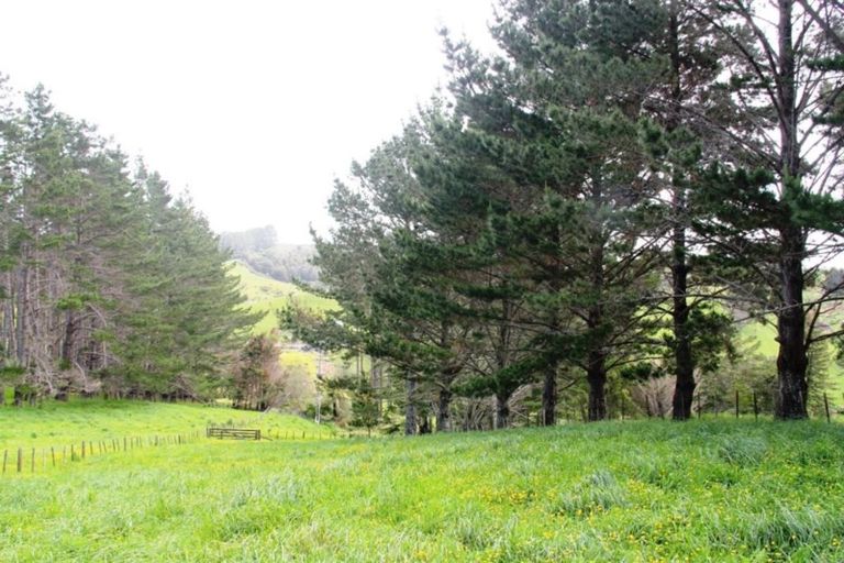 Photo of property in 1720 Ponga Road, Hunua, Papakura, 2584