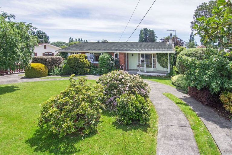Photo of property in 12 Chamberlain Road, Masterton, 5810