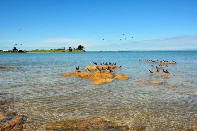 Photo of property in 49 Roys Road, Weymouth, Auckland, 2103