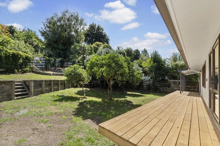 Photo of property in 44 Kowhai Street, Hamilton Lake, Hamilton, 3204