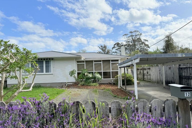Photo of property in 12 Sherrybrooke Place, Sunnyvale, Auckland, 0612