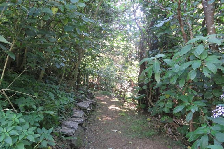 Photo of property in 18 Hazlett Road, Te Mata, Thames, 3575