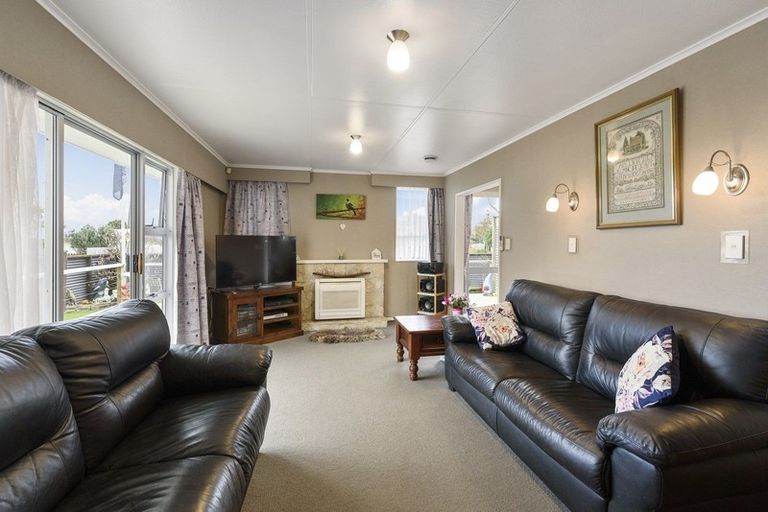 Photo of property in 17 Strathmore Avenue, Levin, 5510