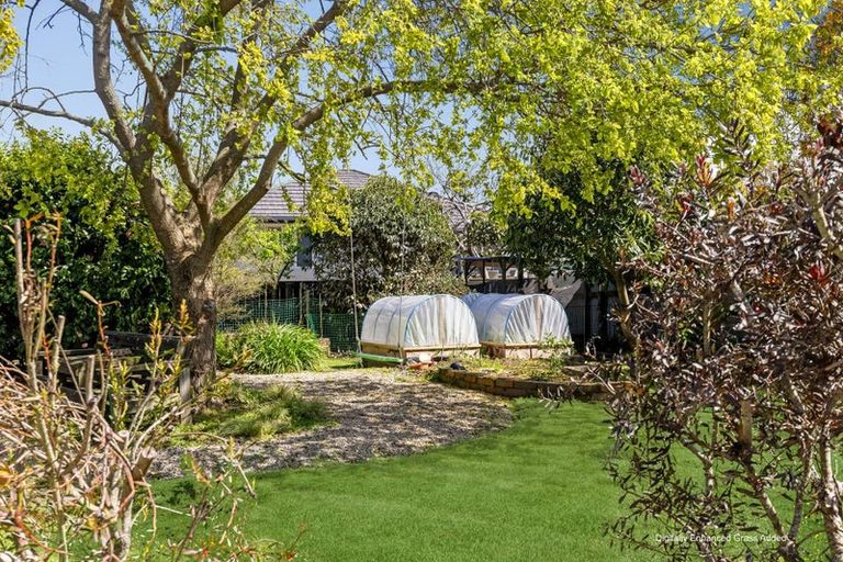 Photo of property in 28 Trewavas Street, Motueka, 7120