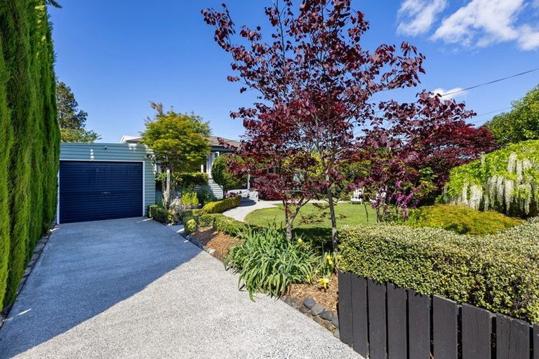 Photo of property in 11 Keats Terrace, Leamington, Cambridge, 3432