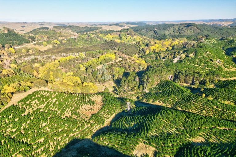 Photo of property in 751 Ongo Road, Hunterville, 4782