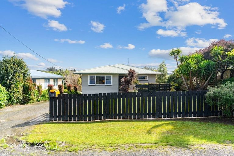 Photo of property in 111 Hurndall Street East, Maungaturoto, 0520