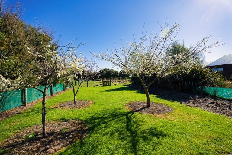 Photo of property in 238a Mount Fyffe Road, Kaikoura, 7300