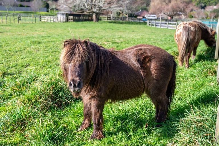 Photo of property in 7 Ascot Vale, Tikitere, Rotorua, 3074