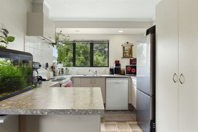 Photo of property in 58b Solomon Street, Brookfield, Tauranga, 3110