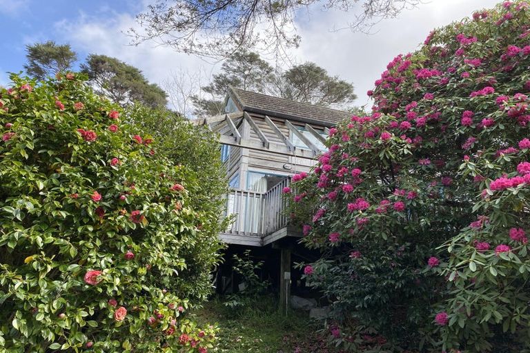 Photo of property in 229a Don Buck Road, Massey, Auckland, 0614