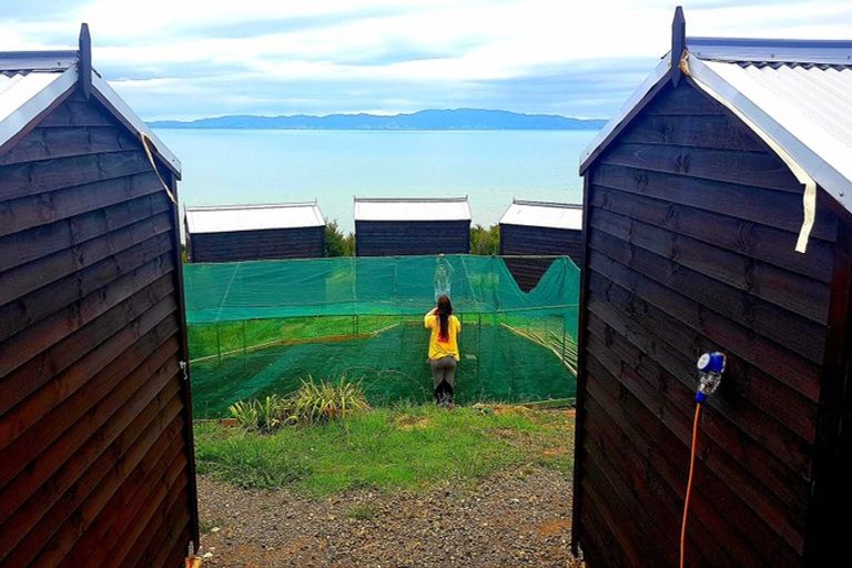 Photo of property in 13 Pohue Creek Road, Ruamahunga, Thames, 3575