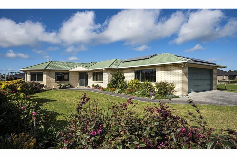 Photo of property in 25 Phoenix Place, Dargaville, 0310