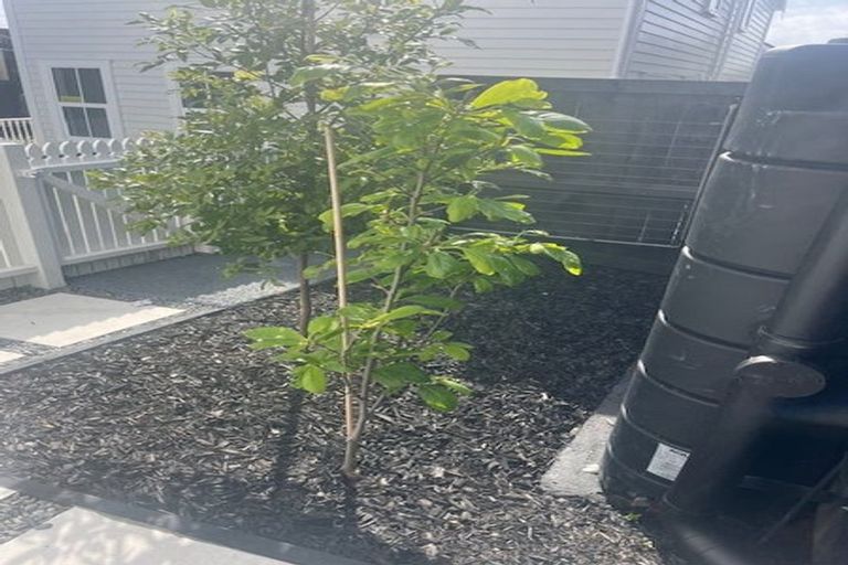 Photo of property in 159b Birkenhead Avenue, Birkenhead, Auckland, 0626