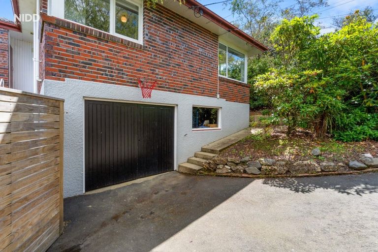 Photo of property in 166 Balmacewen Road, Wakari, Dunedin, 9010
