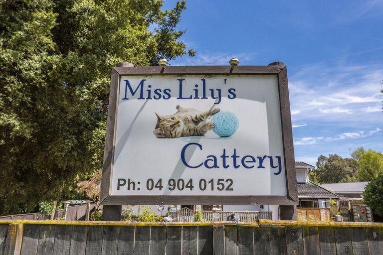 Photo of property in 222 Main Road South, Raumati South, Paraparaumu, 5032