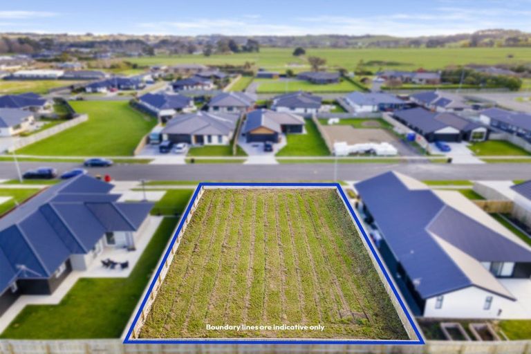 Photo of property in 58 Accolade Street, Feilding, 4702