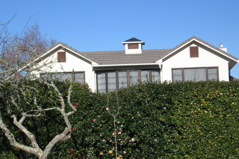 Photo of property in 9 Riverview Terrace, Fairfield, Hamilton, 3214