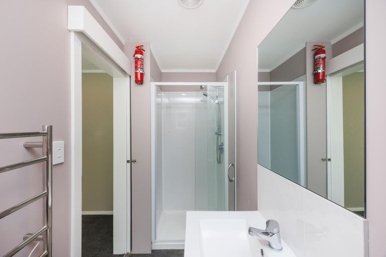 Photo of property in 43 Millar Street, Terrace End, Palmerston North, 4410