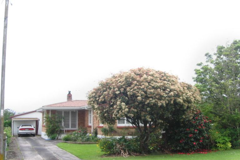 Photo of property in 7 George Street, Paeroa, 3600
