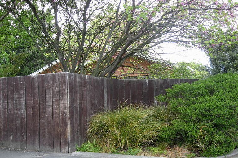 Photo of property in 87 Maxwell Road, Blenheim, 7201
