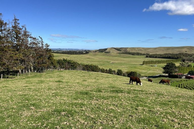 Photo of property in 331 Church Road, Kaitaia, 0482