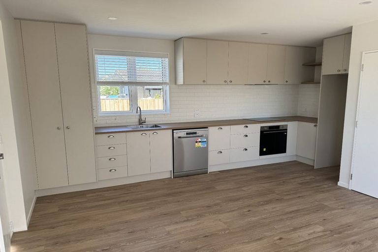 Photo of property in 1/45 Plunket Street, Spreydon, Christchurch, 8024