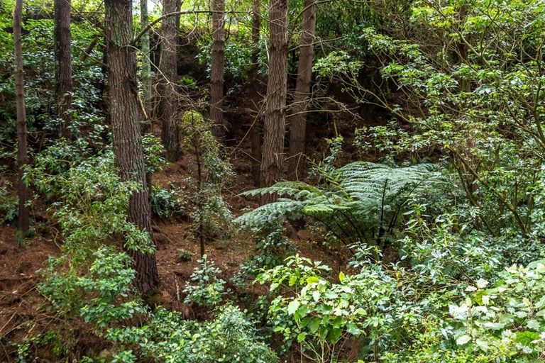 Photo of property in 174 Opaki Kaiparoro Road, Eketahuna, 4994