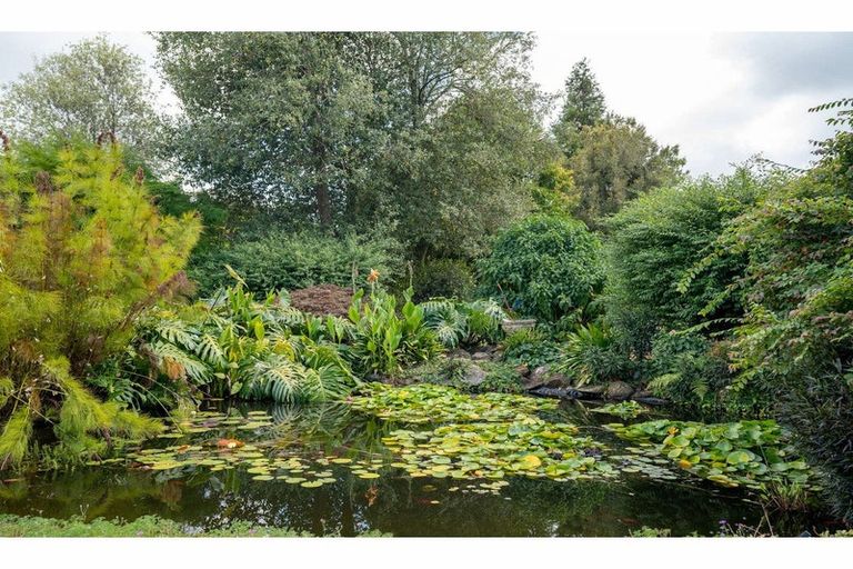 Photo of property in 292 Kapiro Road, Kerikeri, 0294